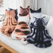 彩色系背影貓咪抱枕靠墊 靠枕 貓奴療癒 布偶 娃娃