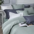 【Simple Living】透氣天絲素色四件式被套床包組 月眸綠(加大 福爾摩沙)