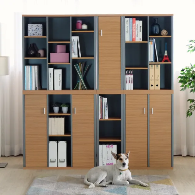 【EASY HOME】台灣製 -加厚九格雙門收納書櫃(收納櫃 置物櫃 書櫃 展示櫃 文件收納)