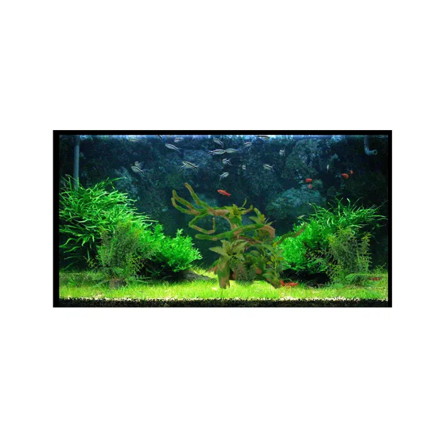 【水族造景飾品】假枯樹枝H7853(水族擺設、生態造景、草缸擺設)