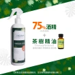 【TREEOIL】茶樹精油+75%酒精6入(500ml/入)乾洗手噴霧劑
