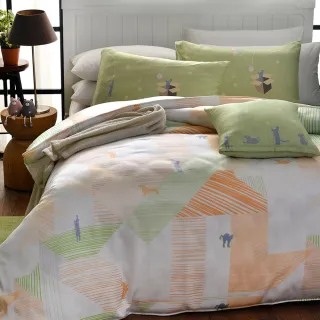 【寶松ROYALCOVER】40支天絲萊賽爾四件式兩用被床包組 頑皮世界-桔綠(雙人)
