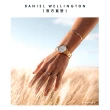 【Daniel Wellington】DW 手錶  Iconic Link 28mm/32mm精鋼錶 特調玫瑰金(DW00100213)