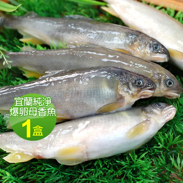 【優鮮配】宜蘭純淨爆卵母香魚1盒(11-17尾裝/920g/盒/中秋烤肉)