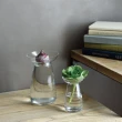 【Kinto】AQUA CULTURE 玻璃花瓶 小-透明