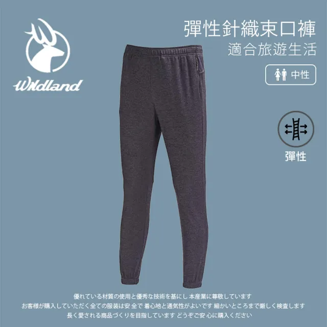【Wildland 荒野】中性 彈性針織束口褲-深灰 0A71621-93(吸濕排汗/運動褲/休閒褲/束口褲/登山休閒)
