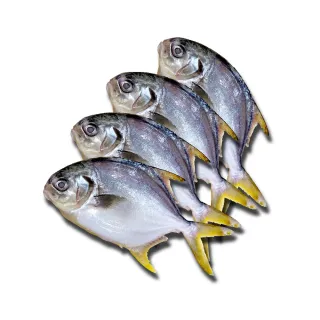 【頤珍鮮物】鮮嫩黃金鯧魚6尾入(250g/尾)