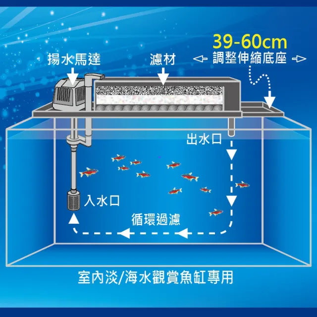 【FUN FISH 養魚趣】1.5尺伸縮式上部過濾槽-透明-含上部馬達+石英陶瓷環+條狀活性炭(底座可伸縮39-60cm)
