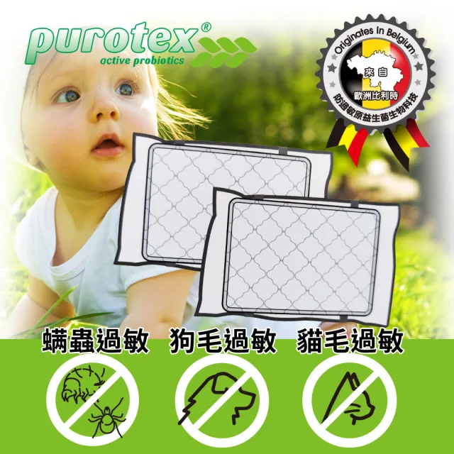 【LooCa】防護抗敏枕頭保潔墊-2入(Purotex益生菌系列)