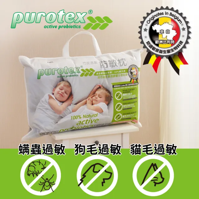 【LooCa】益生菌竹炭透氣防敏枕頭-2入(Purotex益生菌系列)