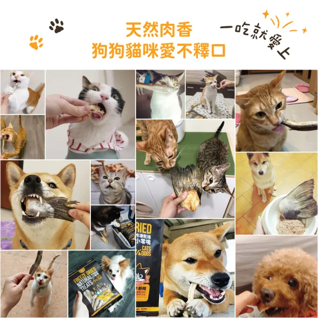 【汪喵星球】犬貓冷凍乾燥原肉零食－挪威鮭魚尾巴70g(犬貓零食)