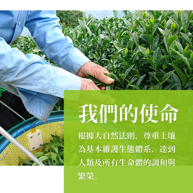 【鑫龍源有機茶】白毫茶仙嫩綠菁翠杉林溪有機綠茶高山茶葉6包組(30g/包共180g/附提袋/有機認證茶/可冷泡茶)