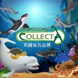 【collectA】動物系列-盒裝史前海洋動物12入 011042(A574302)