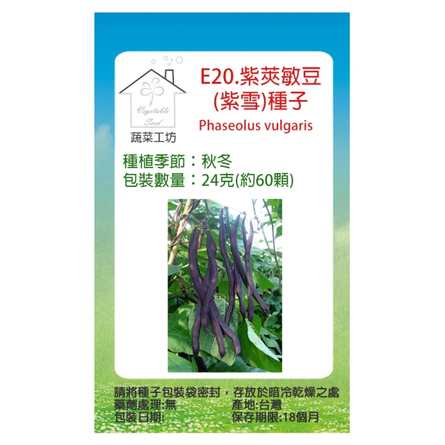 【蔬菜工坊】E20.紫莢敏豆/紫雪/種子24克(約60顆)