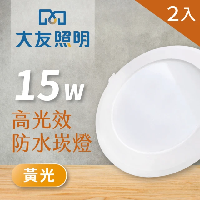 【大友照明】LED防水崁燈 15W - 黃光 - 2入(LED崁燈)