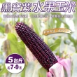 【WANG 蔬果】黑寶紫水果玉米5斤x1箱(農民直配)