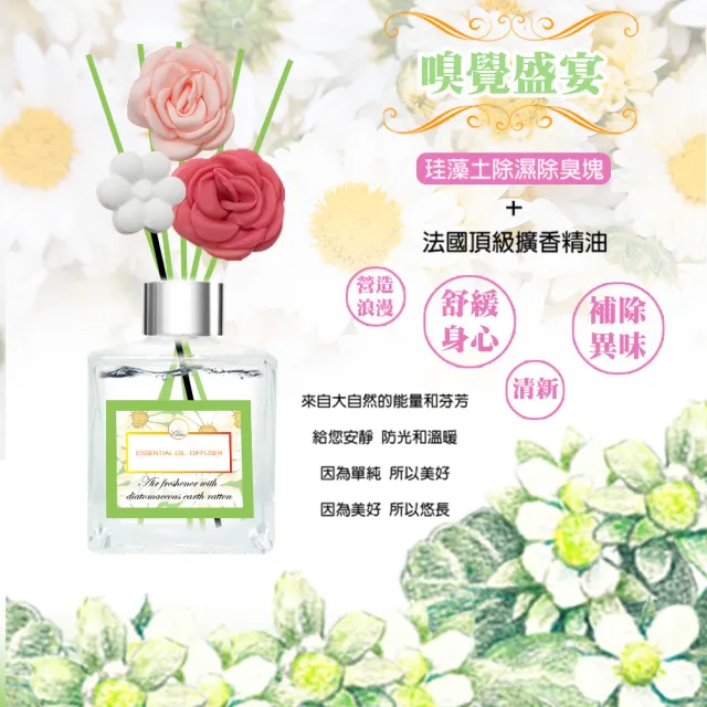 【QIDINA】春夏限定珪藻土擴香瓶 200ml x2入(加贈 法式空間香水噴霧x1)