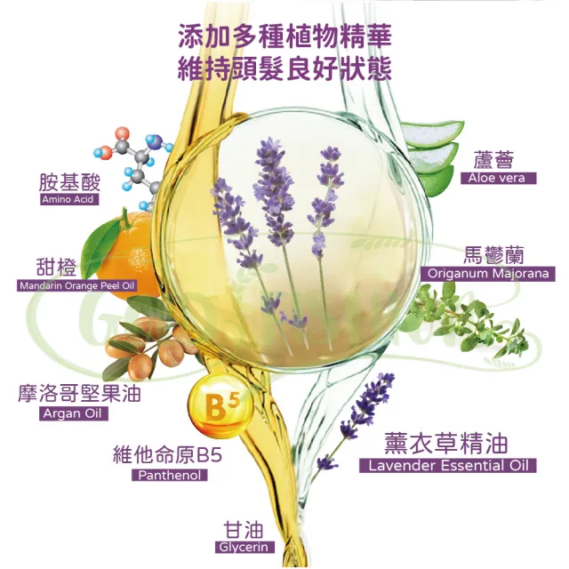 【AUS LIFE 澳思萊】薰衣草活絡健康洗髮精500mlX3(嚴選薰衣草配方 讓頭髮持久留香)