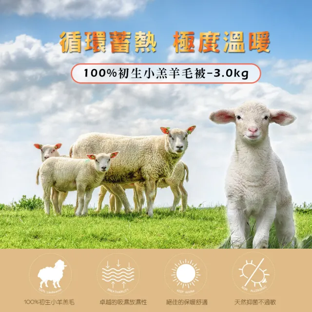 【JAROI】台灣製100%初生小羔羊毛被3KG保暖加厚型(送法蘭絨毯)