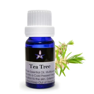 【BodyTemple 身體殿堂】茶樹芳療精油10ml(Tea Tree)