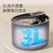 寵物智能循環飲水機 寵物飲水機 自動出水 3L大容量(附濾心3入)