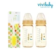 【VIVIBABY】PES寬口奶瓶X2替換式泡棉奶瓶刷X1
