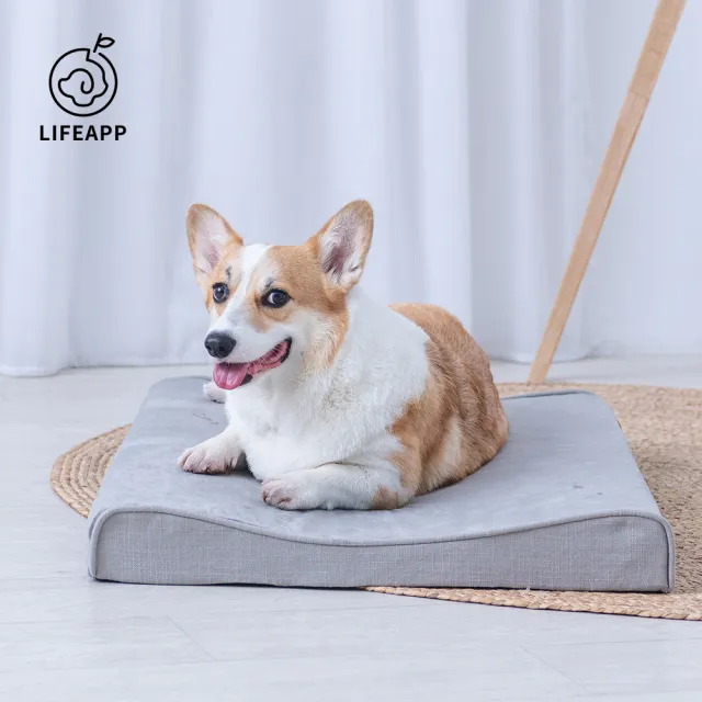 【LIFEAPP 徠芙寶】舒弧墊/M(寵物緩壓睡墊、中小型犬適用)