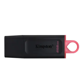 【Kingston 金士頓】DataTraveler Exodia USB 256GB 扣環隨身碟(DTX/256GB)