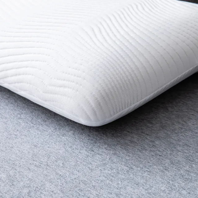 【HOLA】恆好眠防抗菌記憶枕標準型H10cm
