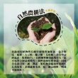 【名池茶業】阿里山國際禮品清新逸香青茶茶葉150gx10包(共2.5斤)