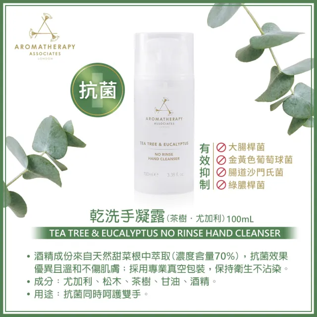 【AA 英國皇家芳療】乾洗手凝露-茶樹•尤加利100mL