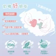 【Baby Garden】香草奶嘴 防塵蓋(收納蓋-藍)