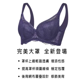 【Swear 思薇爾】香緹女伶系列E-H罩蕾絲包覆大罩女內衣(瑰晨膚)