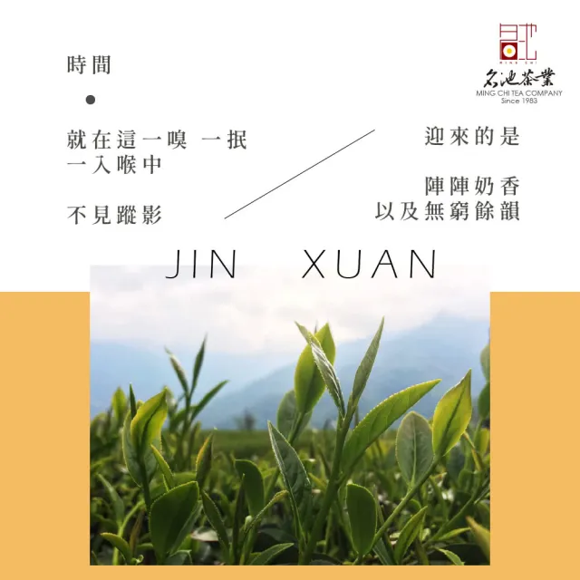【名池茶業】甘醇奶香高山金萱烏龍茶150gx8包(共2斤)