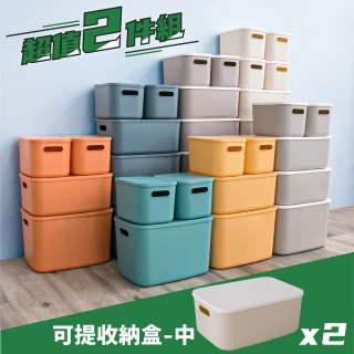 可提中型收納盒-2入-七色任選(YG-131-s8)
