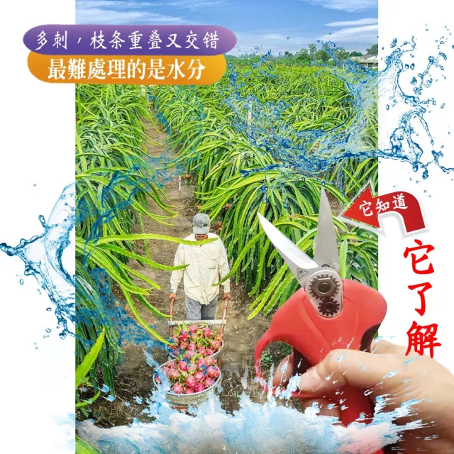 【立豐科技】火龍果電動剪枝機｜電剪｜修剪｜修枝｜果樹修枝｜鏈鋸(專利刀片防水機身)