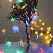 【BLS】聖誕20顆LED燈-雪花(電池款/300cm)
