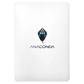 【ANACOMDA 巨蟒】TT 512GB SSD固態硬碟(3D NAND TLC)