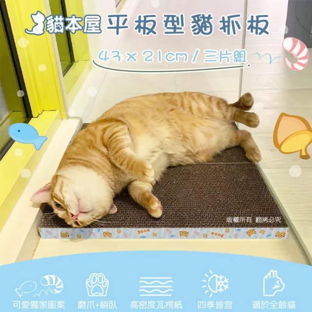 【貓本屋】可愛活跳蝦 平板型貓抓板(三件組)