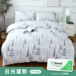 【I-JIA Bedding】吸濕排汗天絲床包兩用被組(單人/雙人/加大 均一價 多款任選)