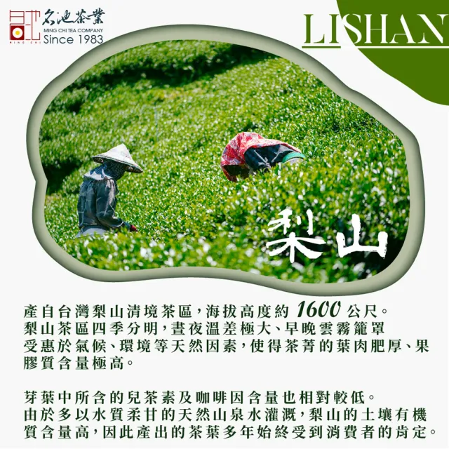 【名池茶業】梨山品級甘霖手工嫩採高冷烏龍茶150gx4包(共1斤)