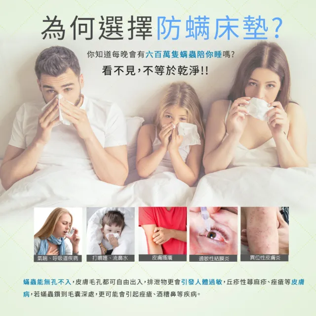 【LooCa】單人3尺 法國防蹣11cm記憶床墊90x188cm-送枕X1｜宿舍床墊推薦