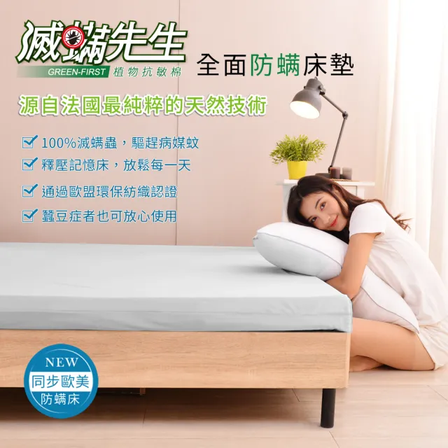 【LooCa】贈枕x2-法國防蹣11cm記憶床墊(2色選-雙人5尺)