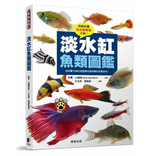 淡水缸魚類圖鑑：從設置水族缸到選擇完美魚類的完整百科！ | 拾書所