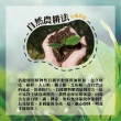 【名池茶業】杉林溪極品手採高山茶葉150gx4盒(共1斤)