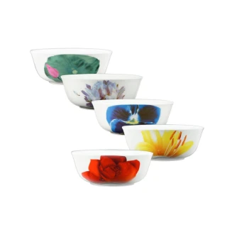 【ZERO原點居家】五花高級骨瓷5件碗沙拉碗甜點碗(沙拉碗 甜點碗 禮盒組)