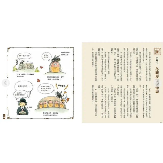 法布爾老師的昆蟲教室（全套3冊）