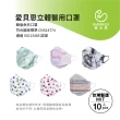 【BABYBELLE 愛貝恩】MIT成人韓版立體醫用口罩-彩虹系列(10入/盒)