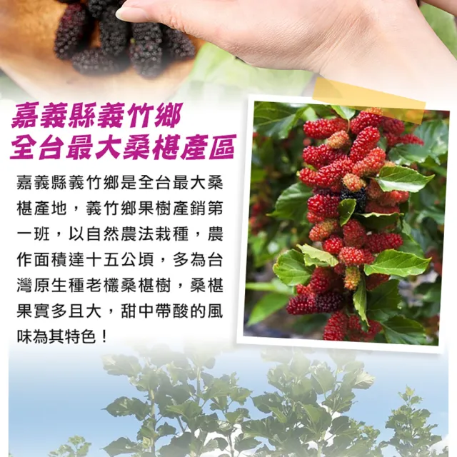 【享吃鮮果】嘉義義竹黑鑽鮮凍桑椹150gx5盒(天然花青素/黑寶石)