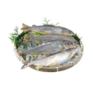 【築地一番鮮】宜蘭帶卵小香魚1盒(11-17尾裝/920g/盒)